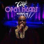 Слушать альбом - Open Heart Acoustic Live (2015)