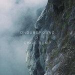 Слушать альбом - Ondubground X Chill Bump (2018)