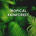 Слушать альбом - Tropical Rainforest: Calm Down and Relax Sounds (2018)