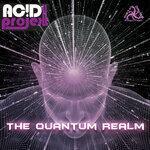 Слушать альбом - The Quantum Realm (2019)