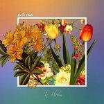 Слушать альбом - In Bloom (2019)