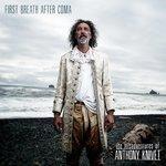 Слушать альбом - The Misadventures of Anthony Knivet (2013)