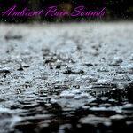 Слушать альбом - Ambient Rain Sounds (2019)
