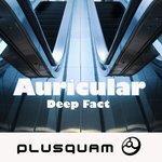 Слушать альбом - Deep Fact (2019)