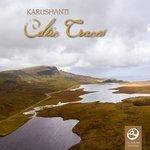 Слушать альбом - Celtic Traces (2017)
