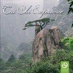 Слушать альбом - Tai Chi Experience (2018)