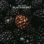 Слушать альбом - BLACKBERRY (2019)