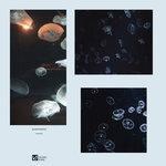 Слушать альбом - Disappointed (2018)