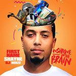 Слушать альбом - InShayne in the Brain (2018)