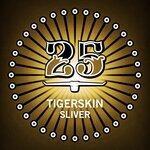 Слушать альбом - Sliver (2019)