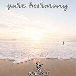 Слушать альбом - Pure Harmony (2019)