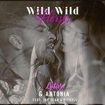 Слушать альбом - Wild Wild Horses (2018)