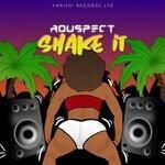Слушать альбом - Shake It (2019)