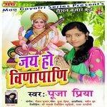 Слушать альбом - Jai Ho Vinapani (2018)