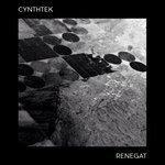 Слушать альбом - Renegat (2018)