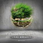 Слушать альбом - Natural Awareness (2017)