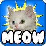 Слушать альбом - ! Cat Meow Meow, #1 You Are My Sunshine (feat. Fun Kitty Cat Song & Funny Songs) (2013)