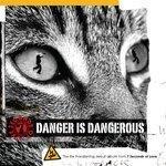 Слушать альбом - Danger Is Dangerous (2008)