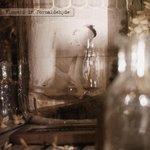 Слушать альбом - Like A Corpse Standing In Desperation 3 (2008)