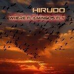 Слушать альбом - Where Flamingos Fly (2019)