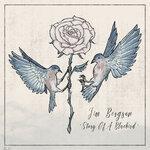 Слушать альбом - Story Of A Bluebird (2019)