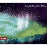 Слушать альбом - Winter Wonderland (2011)