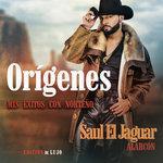 Слушать альбом - Orígenes - Mis Éxitos Con Norteño (2018)
