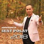 Слушать альбом - Türküler'le Suat Polat 2018