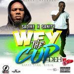 Слушать альбом - Wey the Cup Deh (2017)