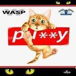 Слушать альбом - Pussy Cat (2019)