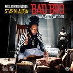Слушать альбом - Bad Bro (2019)