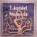 Слушать альбом - Liquid Saloon (2019)