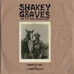 Слушать альбом - Shakey Graves and The Horse He Rode In On (2017)