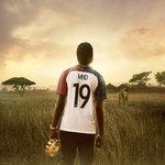 19 (2018)