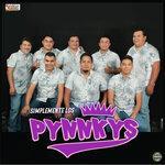 Слушать альбом - Desde San Luis Potosi (2019)