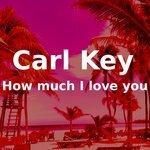 Слушать альбом - How Much I Love You (2018)