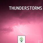 Слушать альбом - Thunderstorms (2019)