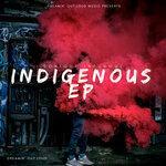 Слушать альбом - Indigenous (2019)