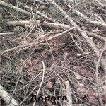 Дорога (2018)