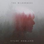 Слушать альбом - The Wilderness (2018)