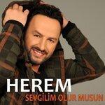Слушать альбом - Sevgilim Olur Musun (2018)