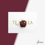 Слушать альбом - Te Molla (2018)