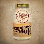 Слушать альбом - Tennessee Mojo (2014)