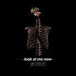 Слушать альбом - Look at Me Now (2017)