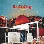 Слушать альбом - Bulldog (2018)