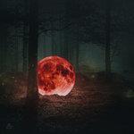 Слушать альбом - Red Moon: The Piano Forest (2018)