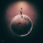 Слушать альбом - The Flower (2018)