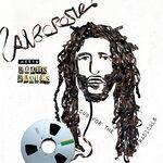 Слушать альбом - Alborosie Meets Roots Radics: Dub For The Radicals (2019)