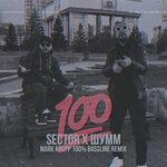 100% (2019)