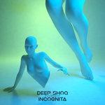 Слушать альбом - Incognita EP (2018)